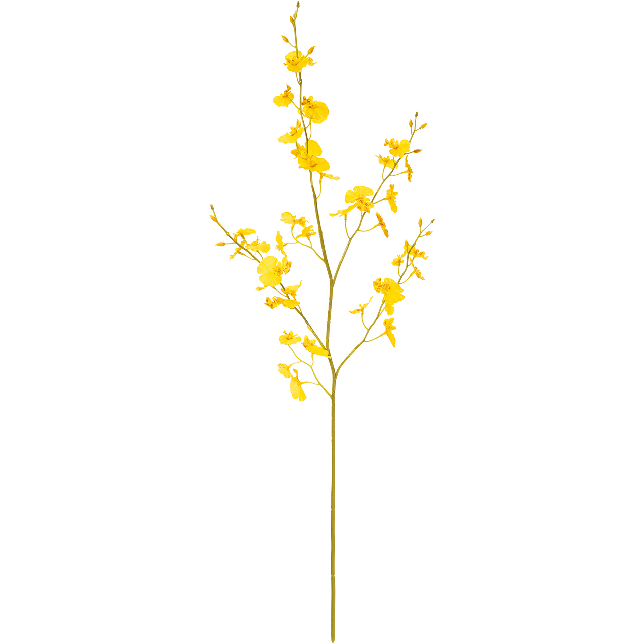 マイフラ 通販 Magiq フェアリーオンシジウム ゴールドイエロー アーティフィシャルフラワー 造花 Fm オンシジューム 花径 約3 5 4 5 全長 約85cm ゴールドイエロー Magiq アーティフィシャルフラワー 造花 全国にmagiq 花器 花資材などをお届けします