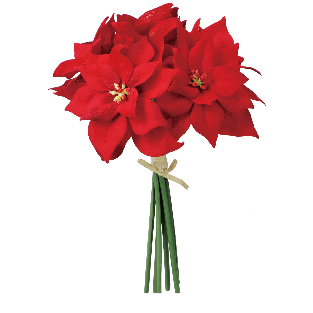 マイフラ】 通販/MAGIQ ミニポインセチアバンドル レッド アーティフィシャルフラワー 造花 クリスマス FX008148(花径 約9～13×長さ  約24cm レッド): MAGIQ(アーティフィシャルフラワー 造花)/全国にMAGIQ、花器、花資材などをお届けします。