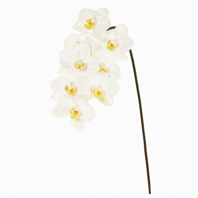 Winward　ローランドファレノプシス　ホワイト　アーティフィシャルフラワー　造花　FW093444-001　胡蝶蘭