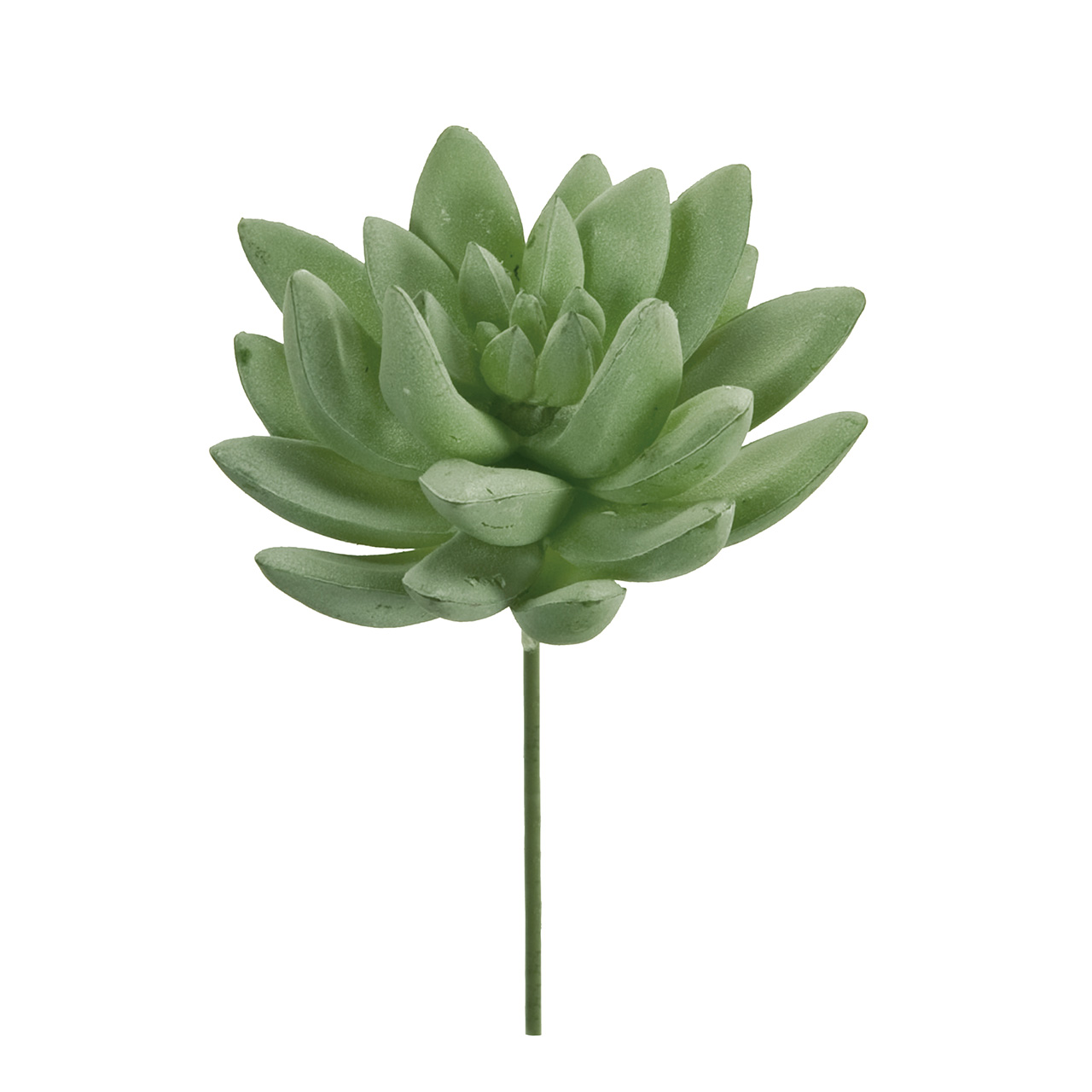 MAGIQ　セダム　プリマ　ホワイトウォッシュグリーン　アーティフィシャルフラワー　造花　FG001733-015　多肉植物