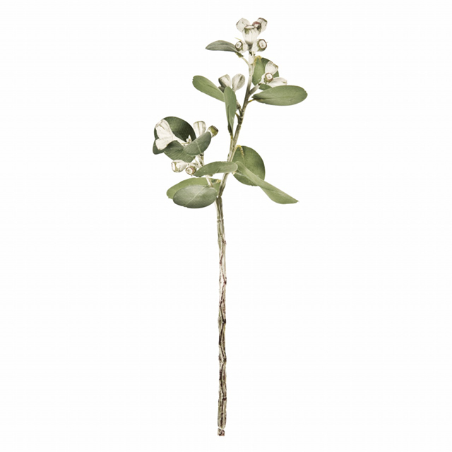 マイフラ 通販 Magiq グラースユーカリベリー グリーン アーティフィシャルフラワー 造花 実もの Fg 実の直径 約1 全長 約40cm グリーン Magiq アーティフィシャルフラワー 造花 全国にmagiq 花器 花資材などをお届けします