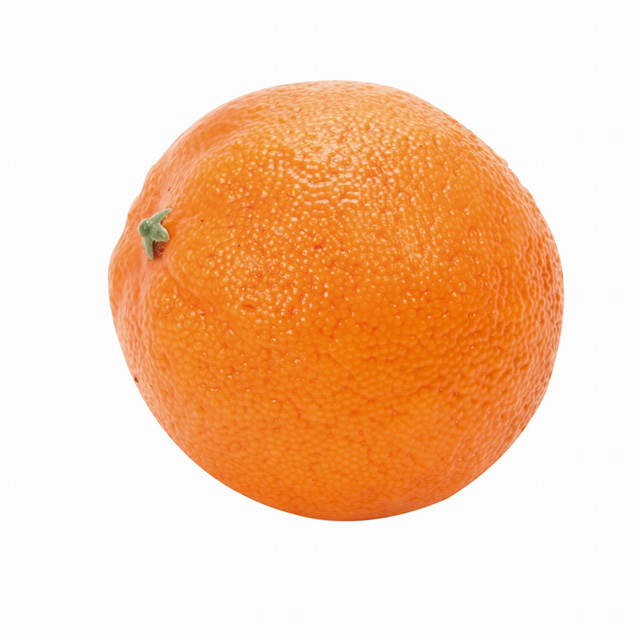 マイフラ 通販 Magiq オレンジ アーティフィシャル Fv 果物 径 約8cm オレンジ Magiq アーティフィシャルフラワー 造花 全国にmagiq 花器 花資材などをお届けします