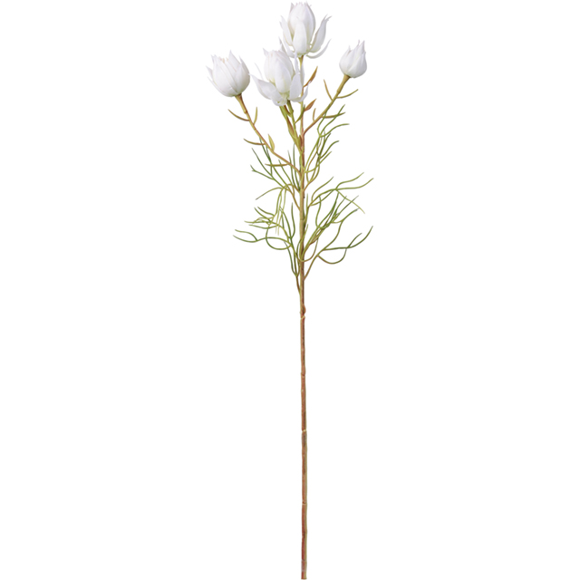 マイフラ 通販 Magiq ブライズセルリア ホワイト アーティフィシャルフラワー 造花 Fm 001 ホワイト Magiq アーティフィシャルフラワー 造花 全国にmagiq 花器 花資材などをお届けします