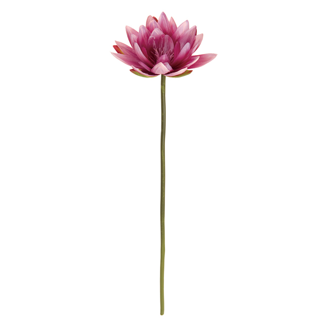 マイフラ 通販 完売品 Magiq グレイスウォーターリリー ビューティ アーティフィシャルフラワー 造花 Fm 016 ウォーターリリー ビューティ Magiq アーティフィシャルフラワー 造花 全国にmagiq 花器 花資材などをお届けします