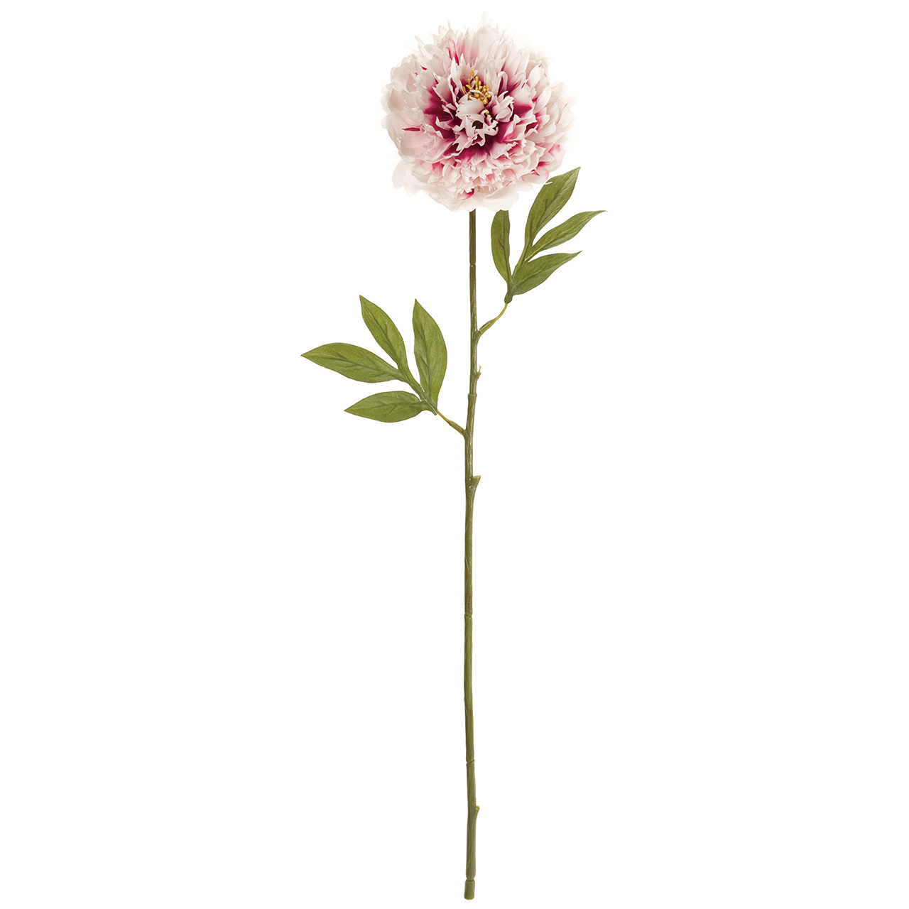 マイフラ 通販 Magiq ロイヤルピオニー ホワイトビュ ティ アーティフィシャルフラワー 造花 Fm 116 ピオニー 花径 約13 全長 約72cm ホワイトビューティ Magiq アーティフィシャルフラワー 造花 全国にmagiq 花器 花資材などをお届けします
