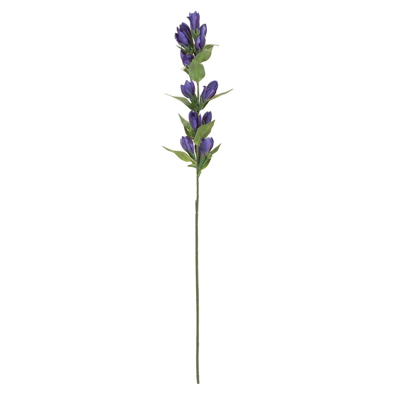 マイフラ 通販 Magiq りんどうスプレー ブルー アーティフィシャルフラワー 造花 Fm 010 花径 約4 5 全長 約65cm ブルー Magiq アーティフィシャルフラワー 造花 全国にmagiq 花器 花資材などをお届けします