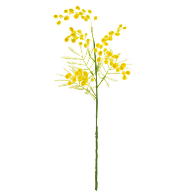 マイフラ 通販 Magiq ブライト ミモザ イエロー アーティフィシャルフラワー 造花 Fm ミモザ 全長 約42cm イエロー Magiq アーティフィシャルフラワー 造花 全国にmagiq 花器 花資材などをお届けします