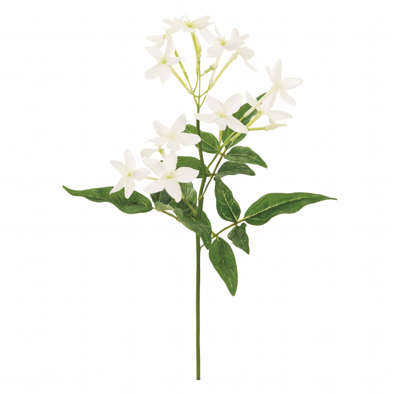 マイフラ 通販 Magiq レイナジャスミン ホワイト アーティフィシャルフラワー 造花 Fm 茉莉花 花径 約4 全長 約29cm ホワイト Magiq アーティフィシャルフラワー 造花 全国にmagiq 花器 花資材などをお届けします