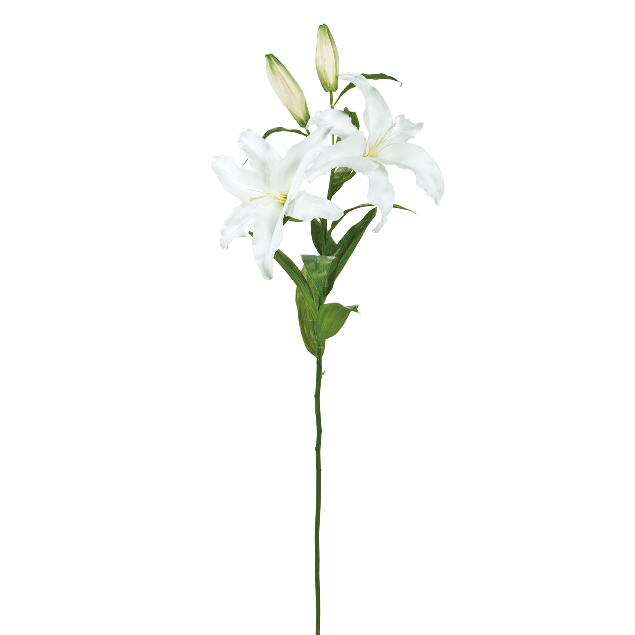 Winward　オードリー カサブランカ　2輪咲き　ホワイト　アーティフィシャルフラワー　造花　FW032306　ユリ