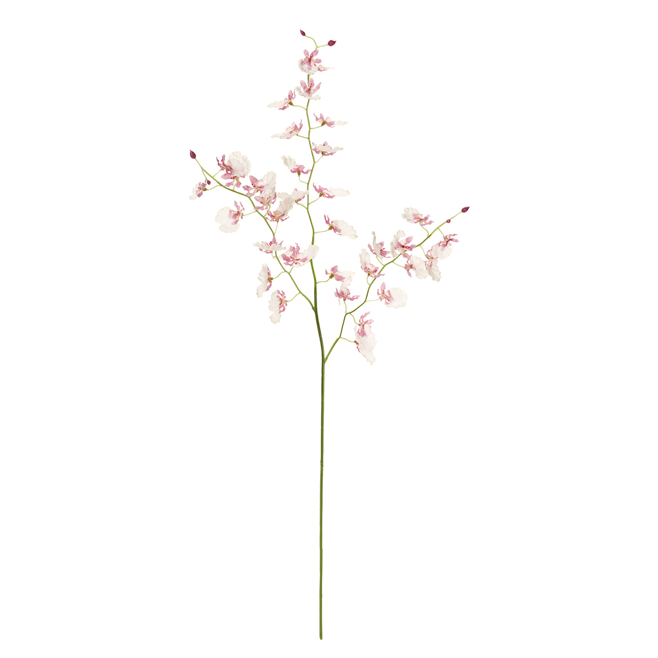 マイフラ 通販 Magiq フラワリーオンシジウム ホワイトライラック アーティフィシャルフラワー 造花 Fm 048 オンシジューム ホワイトライラック Magiq アーティフィシャルフラワー 造花 全国にmagiq 花器 花資材などをお届けします