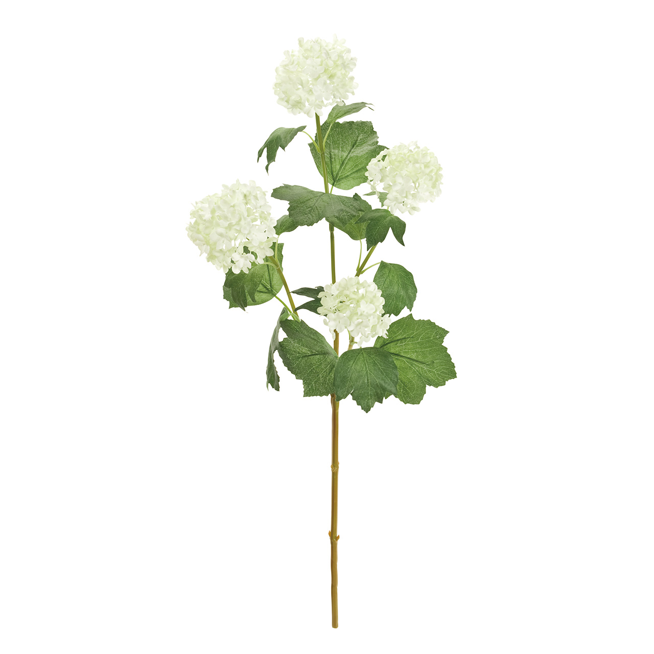 マイフラ 通販 Magiq メリースノーボール M ホワイト アーティフィシャルフラワー 造花 Fm 001 スノーボール 花房径 約6 5 8 全長 約58 5cm ホワイト Magiq アーティフィシャルフラワー 造花 全国にmagiq 花器 花資材などをお届けします