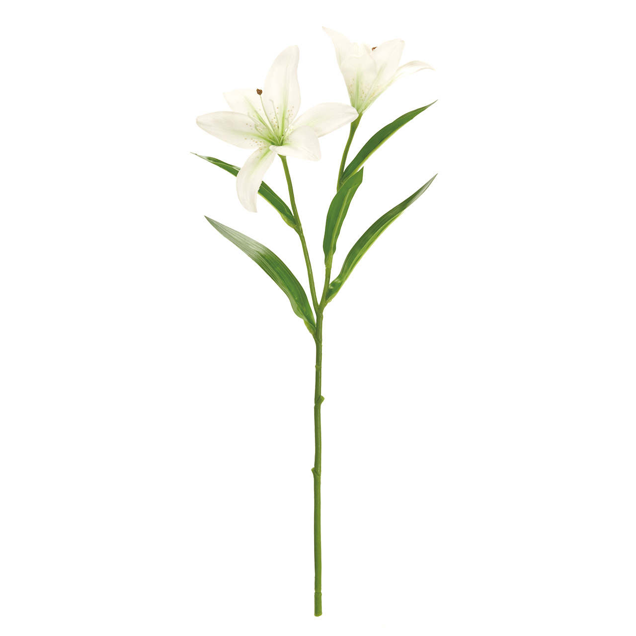 マイフラ 通販 Magiq ステラリリー ホワイトグリーン アーティフィシャルフラワー 造花 Fm 001 ユリ ホワイトグリーン Magiq アーティフィシャルフラワー 造花 全国にmagiq 花器 花資材などをお届けします