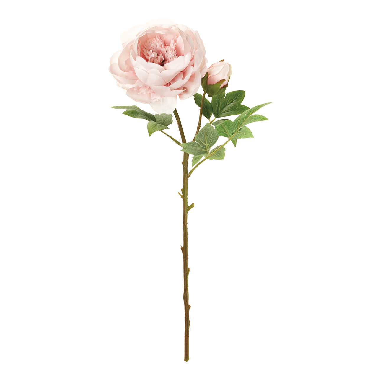マイフラ 通販 Magiq エレガンピオニー ピンク アーティフィシャルフラワー 造花 Fm 002 ピオニー ピンク Magiq アーティフィシャルフラワー 造花 全国にmagiq 花器 花資材などをお届けします