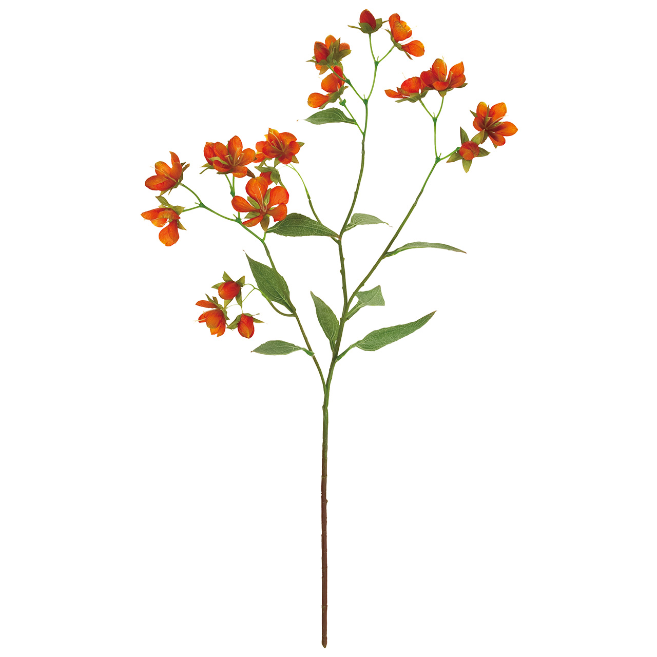 マイフラ 通販 Magiq バタフライフラワー オレンジ アーティフィシャルフラワー 造花 Fm トロピカルフラワー 花径 約4 5 6 5 全長 約cm オレンジ Magiq アーティフィシャルフラワー 造花 全国にmagiq 花器 花資材などをお届けします