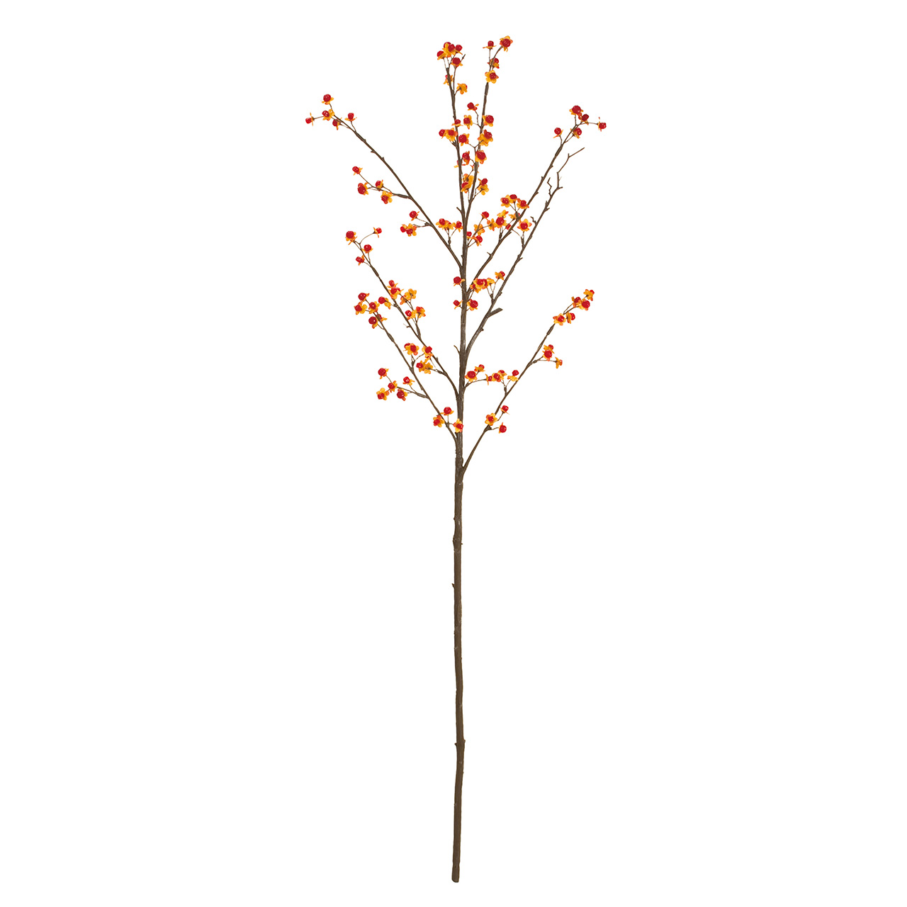 マイフラ 通販 Magiq つるうめもどき レッドオレンジ アーティフィシャルフラワー 造花 Fm 009 実付き枝もの 長さ 約98cm 9 レッドオレンジ Magiq アーティフィシャルフラワー 造花 全国にmagiq 花器 花資材などをお届けします