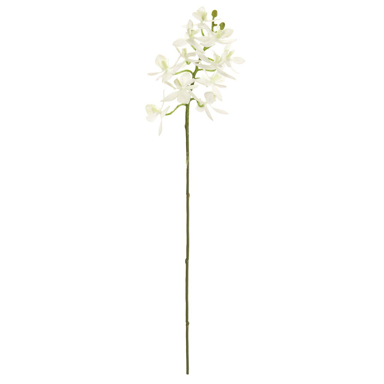 MAGIQ　ルシアファレノ　ホワイト　アーティフィシャルフラワー　造花　お正月　FM001256-001　胡蝶蘭　ファレノ