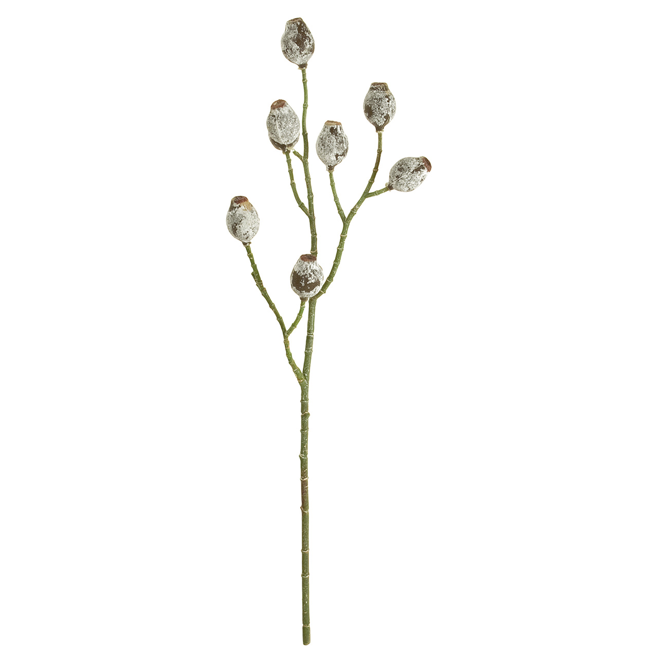 マイフラ 通販 Magiq ユーカリベルギーナッツ グレイグリーン アーティフィシャルフラワー 造花 葉物 Fg0014 実の長さ 約3 5 長さ 約50cm グレイグリーン Magiq アーティフィシャルフラワー 造花 全国にmagiq 花器 花資材などをお届けします