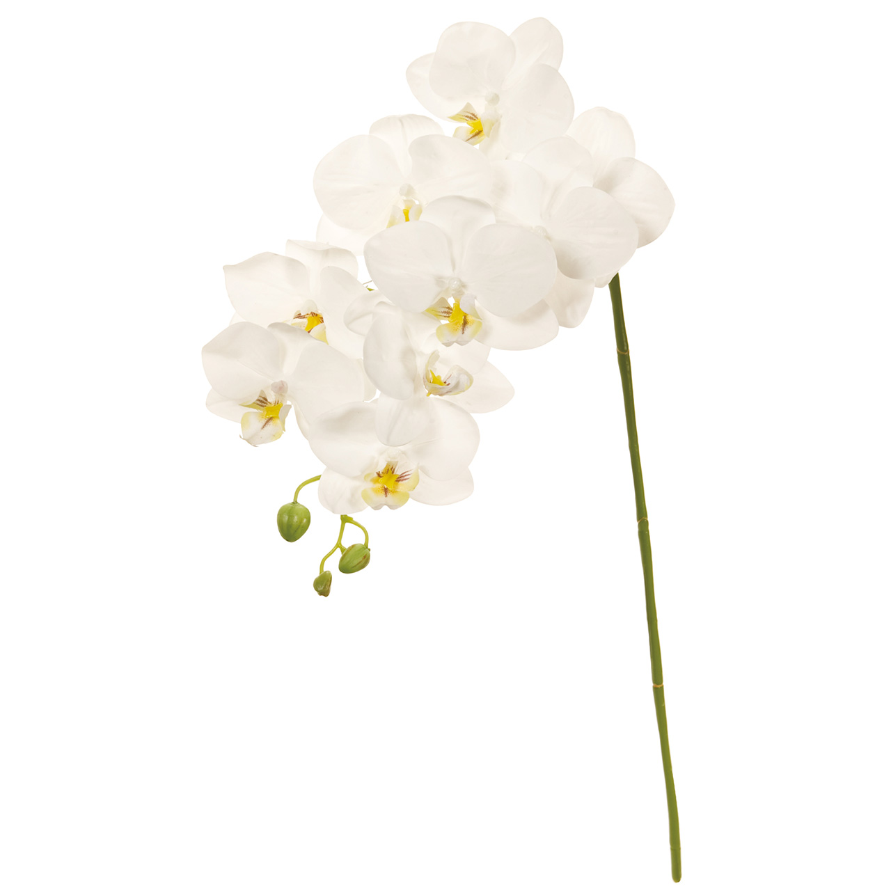 マイフラ 通販 Magiq バレリーナファレノ M ホワイト アーティフィシャルフラワー 造花 Fm 001 胡蝶蘭 ホワイト Magiq アーティフィシャルフラワー 造花 全国にmagiq 花器 花資材などをお届けします