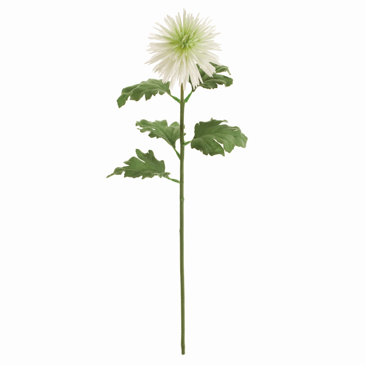 マイフラ 通販 Magiq 麗華菊 ホワイトグリーン アーティフィシャルフラワー 造花 Fm 001 マム 菊 ホワイトグリーン Magiq アーティフィシャルフラワー 造花 全国にmagiq 花器 花資材などをお届けします