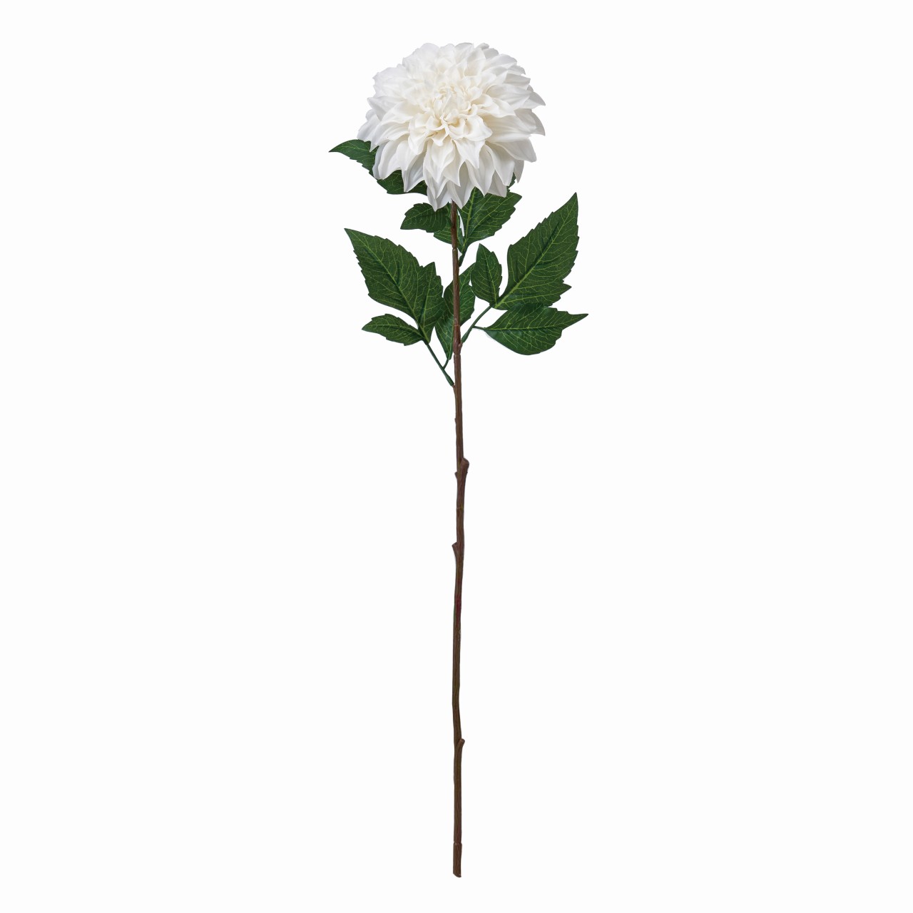 マイフラ 通販 Magiq アランダリア ホワイト アーティフィシャルフラワー 造花 Fm 001 ダリア ホワイト Magiq アーティフィシャルフラワー 造花 全国にmagiq 花器 花資材などをお届けします