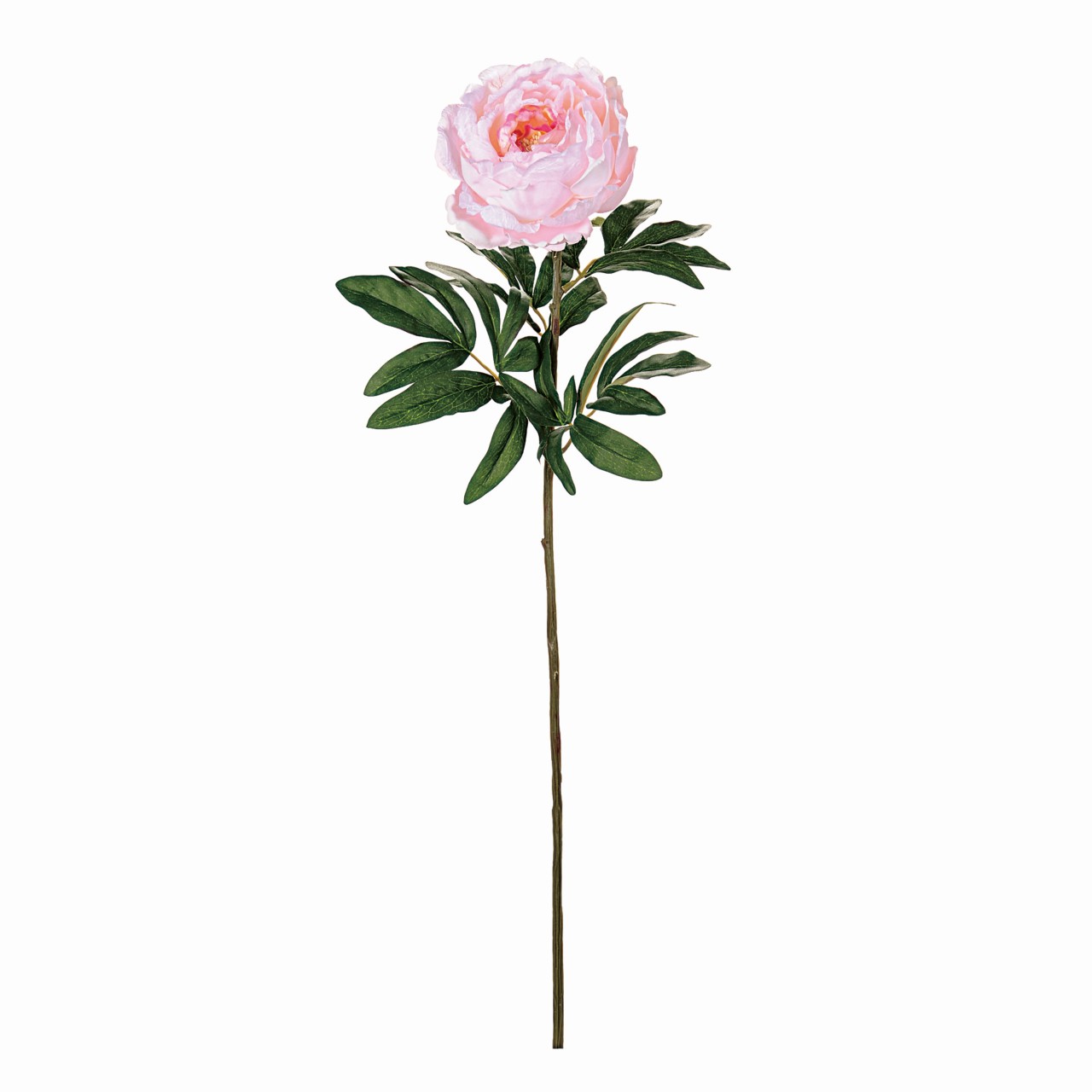マイフラ 通販 Magiq ベルーナピオニー ピンク アーティフィシャルフラワー 造花 Fm 002 ピオニー 牡丹 ピンク Magiq アーティフィシャルフラワー 造花 全国にmagiq 花器 花資材などをお届けします