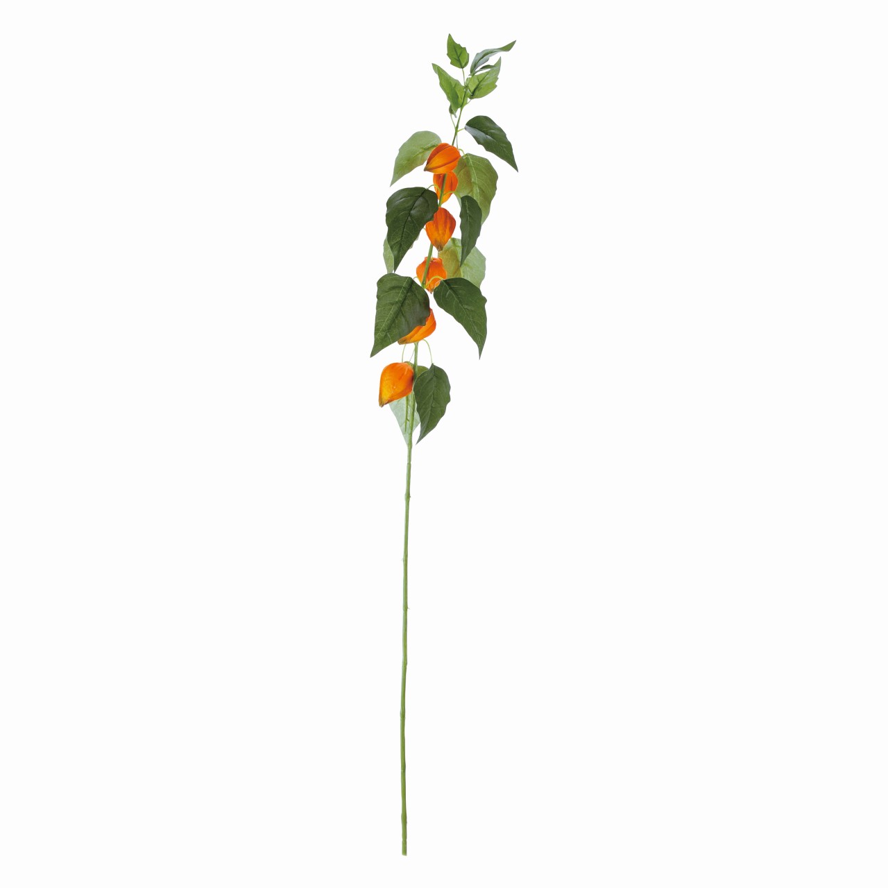 マイフラ 通販 Magiq 涼風ほおずき オレンジ アーティフィシャルフラワー 造花 Fm0011 鬼灯 実の直径 約4 5 6 長さ 約91cm オレンジ Magiq アーティフィシャルフラワー 造花 全国にmagiq 花器 花資材などをお届けします