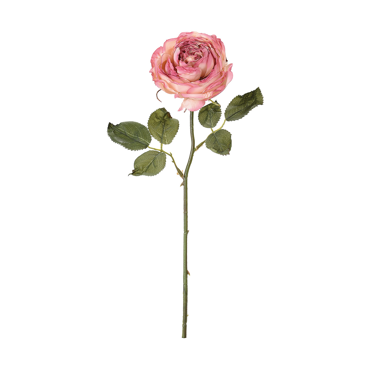 マイフラ 通販 Magiq ドライドガーデンローズ ピンク モーブ ドライフラワー風の造花 アーティフィシャルフラワー Fm 002 ローズ バラ ピンク モーブ Magiq アーティフィシャルフラワー 造花 全国にmagiq 花器 花資材などをお届けします