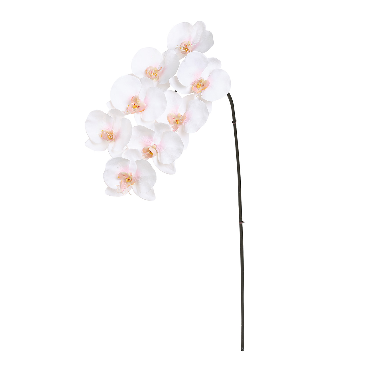 マイフラ 通販 Winward マリアファレノプシス ホワイト ピンク アーティフィシャルフラワー 造花 Fw 胡蝶蘭 ファレノ 花径11 長さ 約95cm ホワイト ピンク Magiq アーティフィシャルフラワー 造花 全国にmagiq 花器 花資材などをお届けします