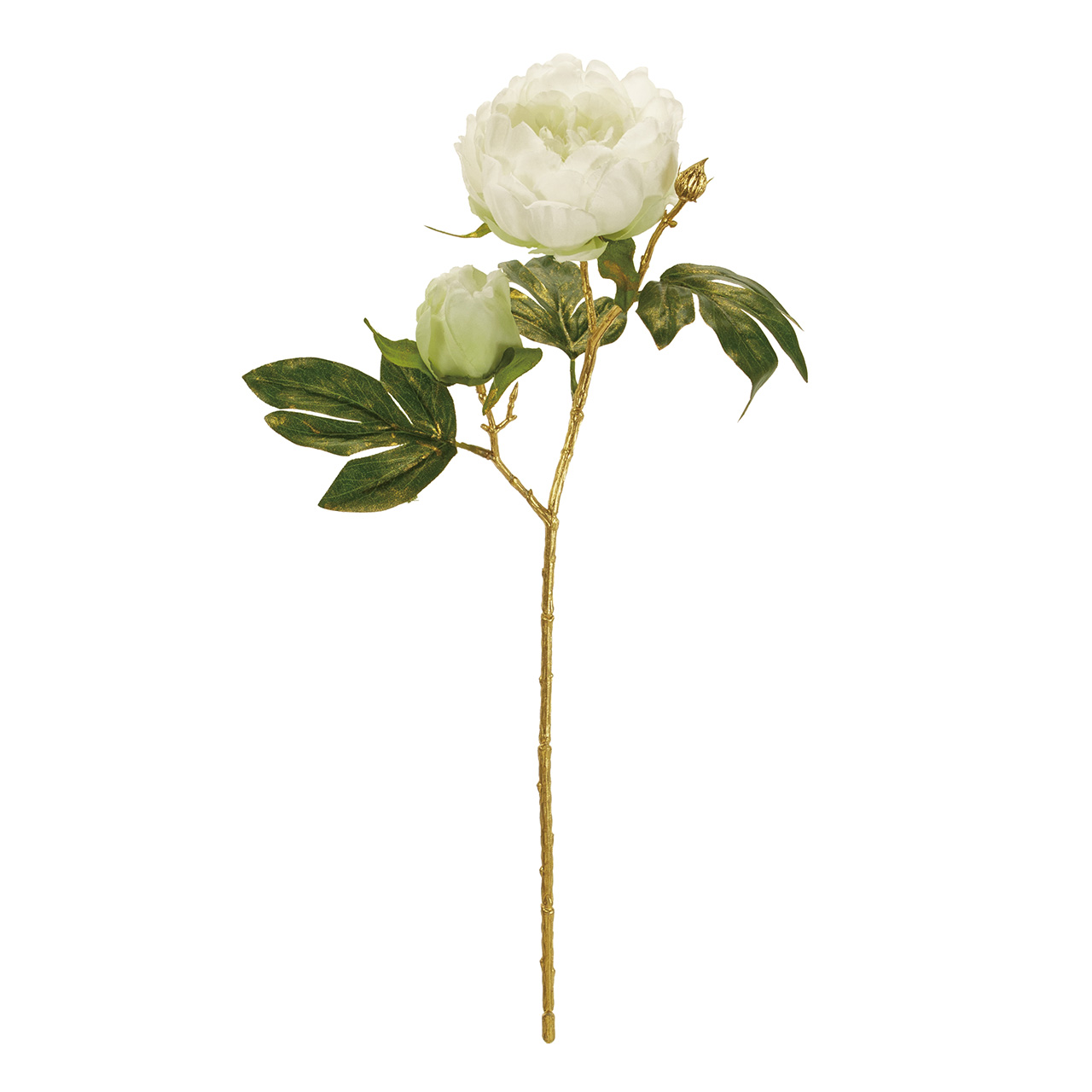マイフラ 通販 今季完売 Magiq デコーレピオニー クリーム アーティフィシャルフラワー 造花 ピオニー 牡丹 Fj 001 クリーム Magiq アーティフィシャルフラワー 造花 全国にmagiq 花器 花資材などをお届けします