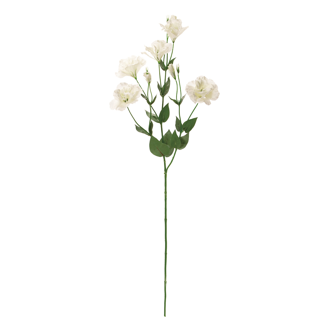 マイフラ 通販 Magiq グランリシアンサス クリームホワイト アーティフィシャルフラワー 造花 リシアンサス トルコキキョウ Fm 001 クリームホワイト Magiq アーティフィシャルフラワー 造花 全国にmagiq 花器 花資材などをお届けします