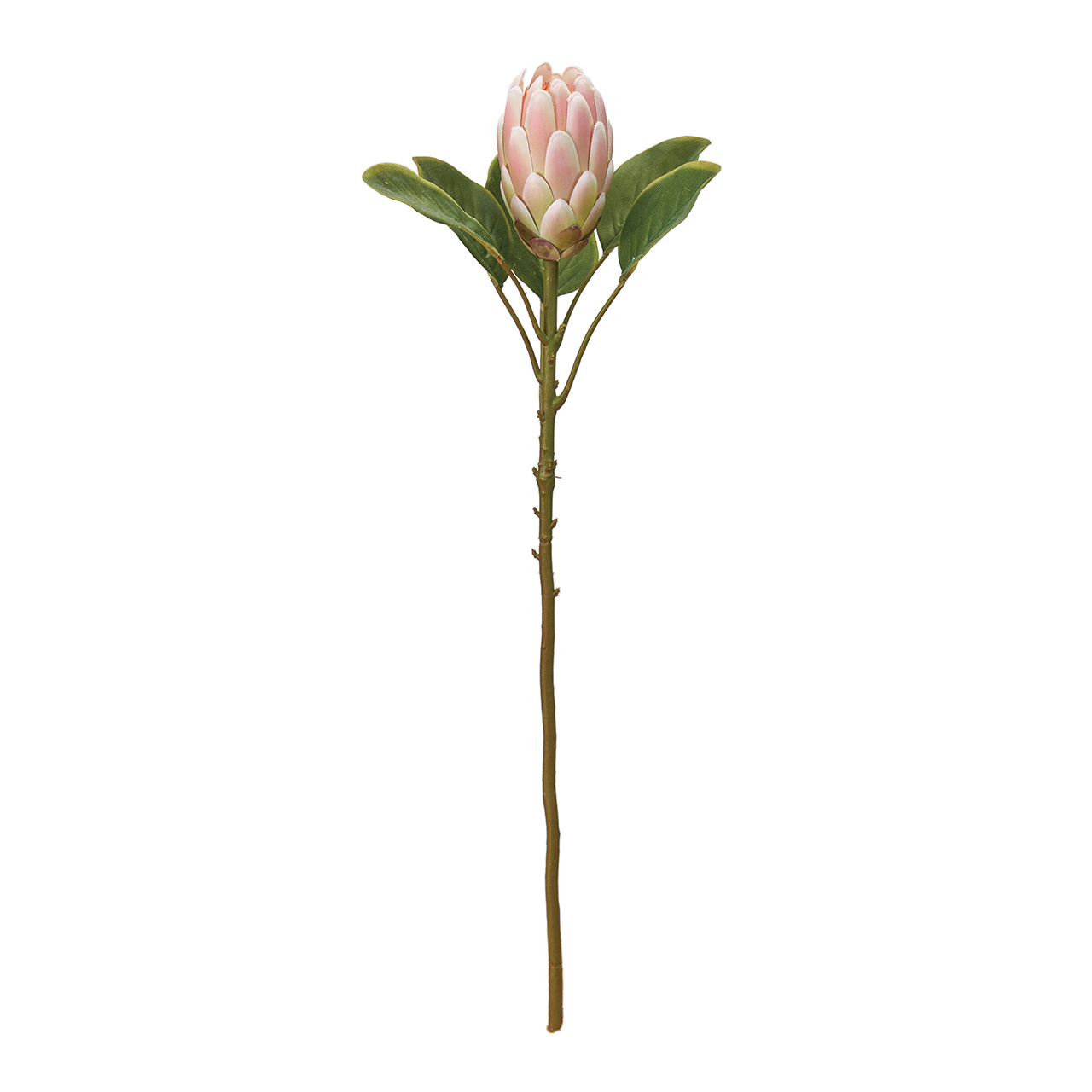 MAGIQ　マカロンプロテア　ピンク　アーティフィシャルフラワー　造花　ワイルドフラワー　FM000581-002