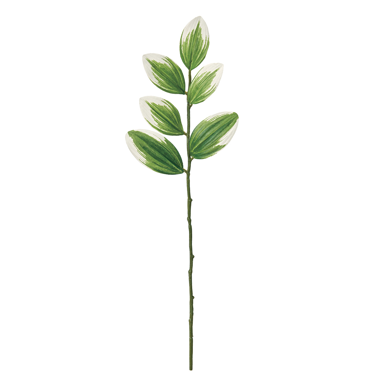 マイフラ 通販 Magiq ナルコランショート アーティフィシャルグリーン 造花 ナルコラン Fg 長さ 約30cm グリーン Magiq アーティフィシャルフラワー 造花 全国にmagiq 花器 花資材などをお届けします
