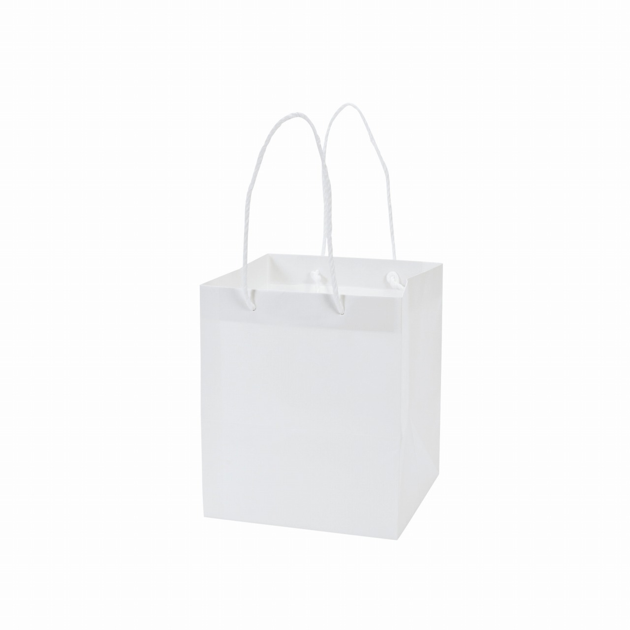 マイフラ 通販 アレンジバッグss 白 5枚入 紙袋 フラワーアレンジメント用 手提げ袋 店舗用資材 Sh 001 白 リボン ラッピング 包装資材 全国にmagiq 花器 花資材などをお届けします