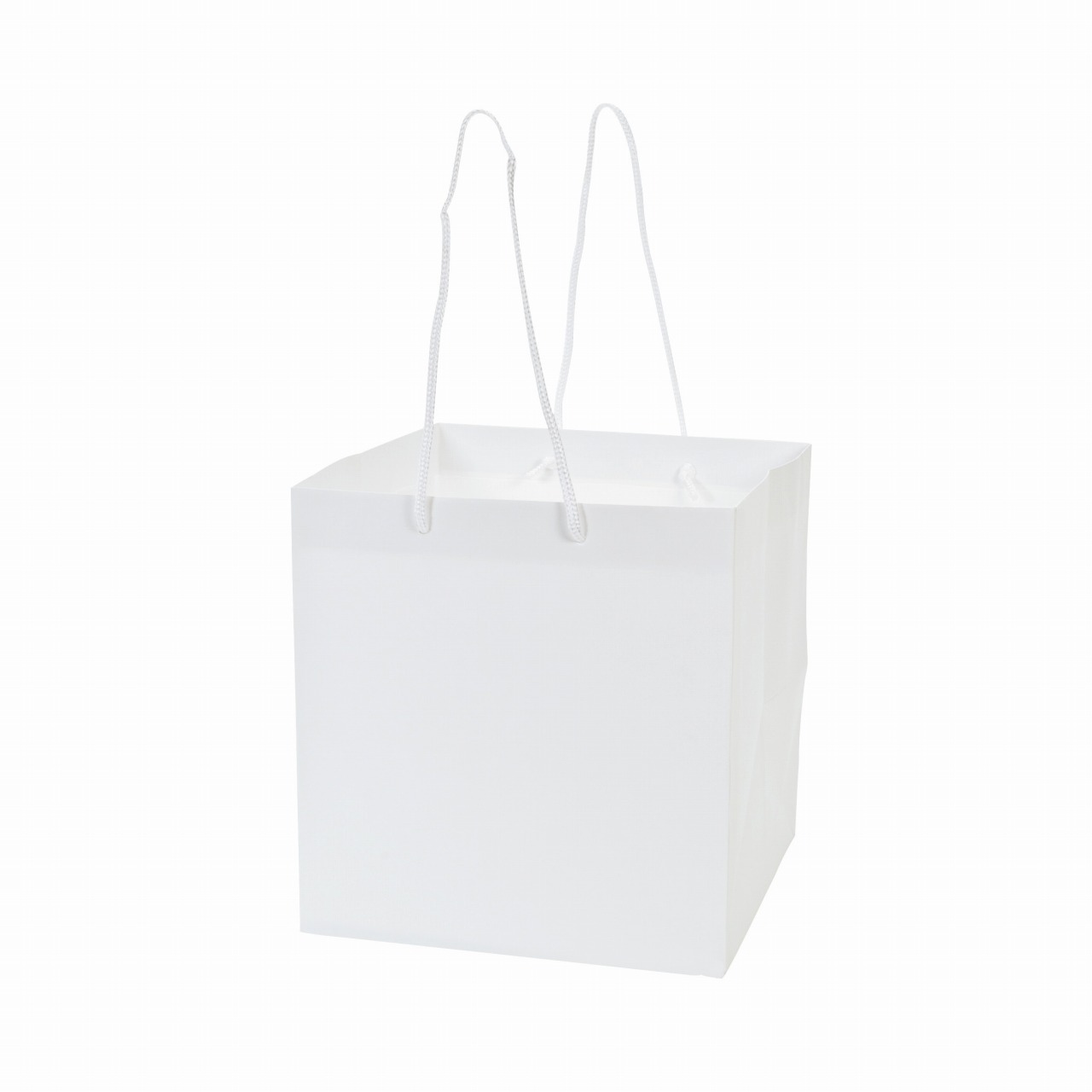 アレンジバッグS　白　5枚入　紙袋　フラワーアレンジメント用　手提げ袋　店舗用資材　SH000100-001