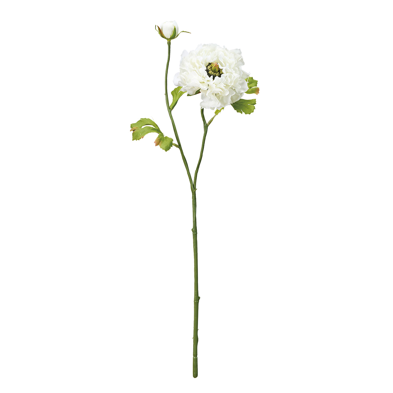 MAGIQ　ラッフルラナンキュラス　ホワイト　アーティフィシャルフラワー　造花　ラナンキュラス　FM007847-001