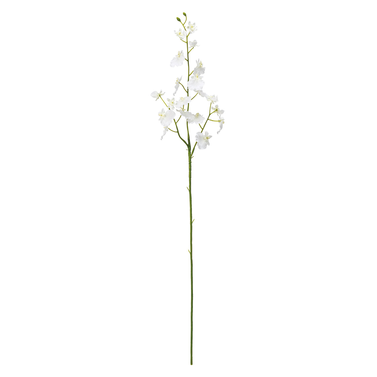 MAGIQ　イノセントオンシジウム　ホワイト　アーティフィシャルフラワー　造花　オーキッド　蘭　FM302213