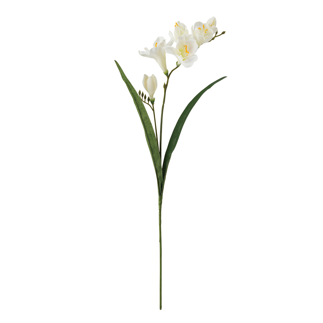 マイフラ】 通販/MAGIQ マリナフリージア クリーム アーティフィシャルフラワー 造花 小花 FM001832-001(クリーム):  MAGIQ(アーティフィシャルフラワー 造花)/全国にMAGIQ、花器、花資材などをお届けします。