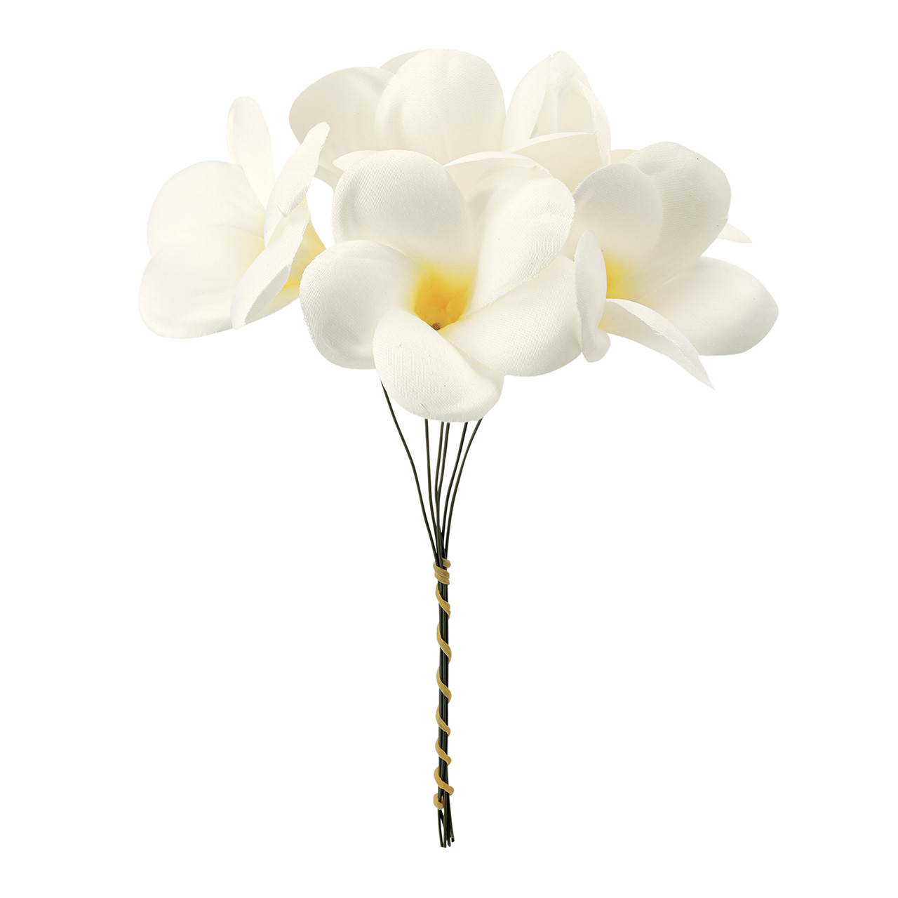 マイフラ】 通販/MAGIQ カレンプルメリアピック クリーム アーティフィシャルフラワー 造花 プルメリア FM000973-037(クリーム):  MAGIQ(アーティフィシャルフラワー 造花)/全国にMAGIQ、花器、花資材などをお届けします。