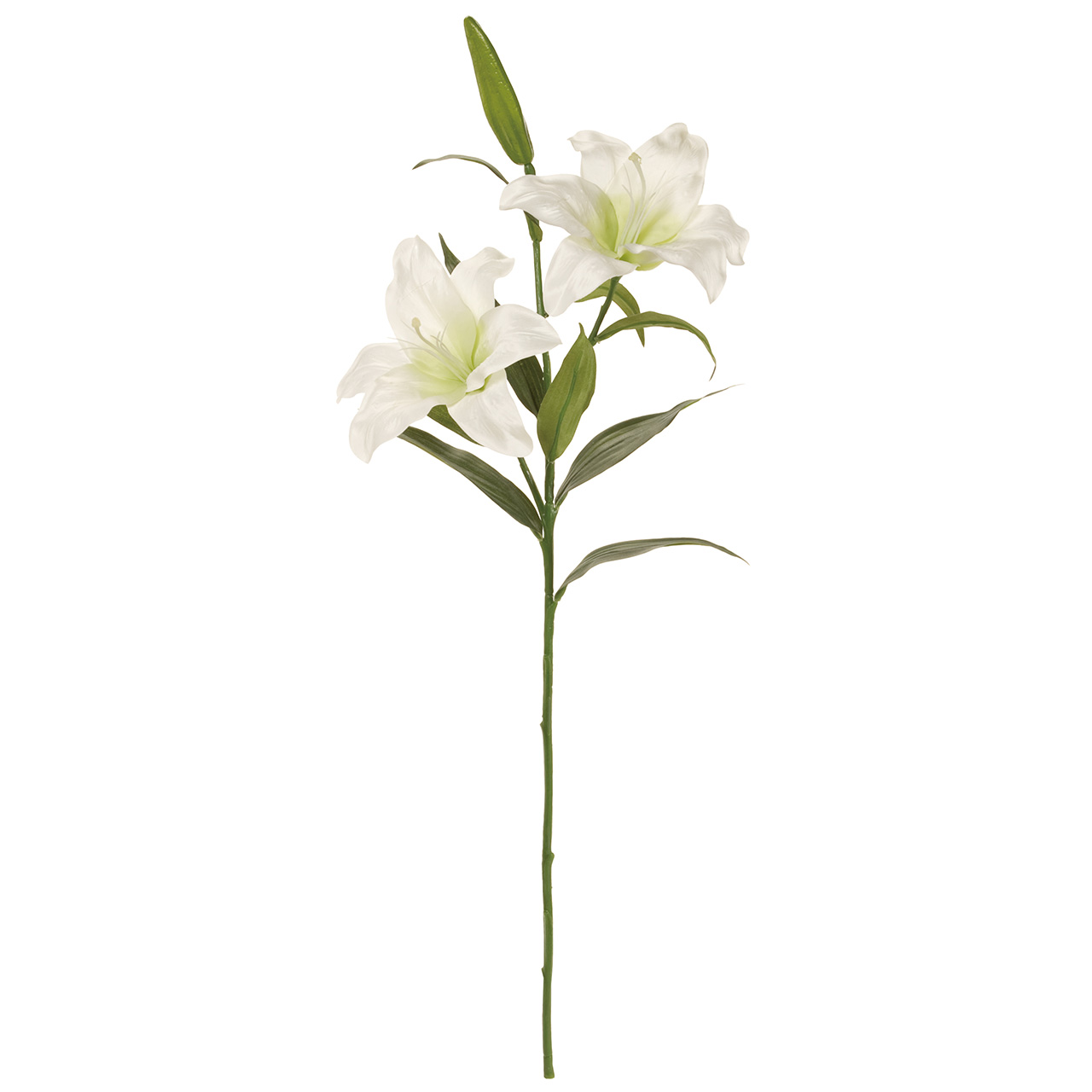 マイフラ 通販 Magiq クレセント カサブランカ ホワイト アーティフィシャルフラワー 造花 ユリ Fm0099 花径 約 全長 約87cm ホワイト Magiq アーティフィシャルフラワー 造花 全国にmagiq 花器 花資材などをお届けします