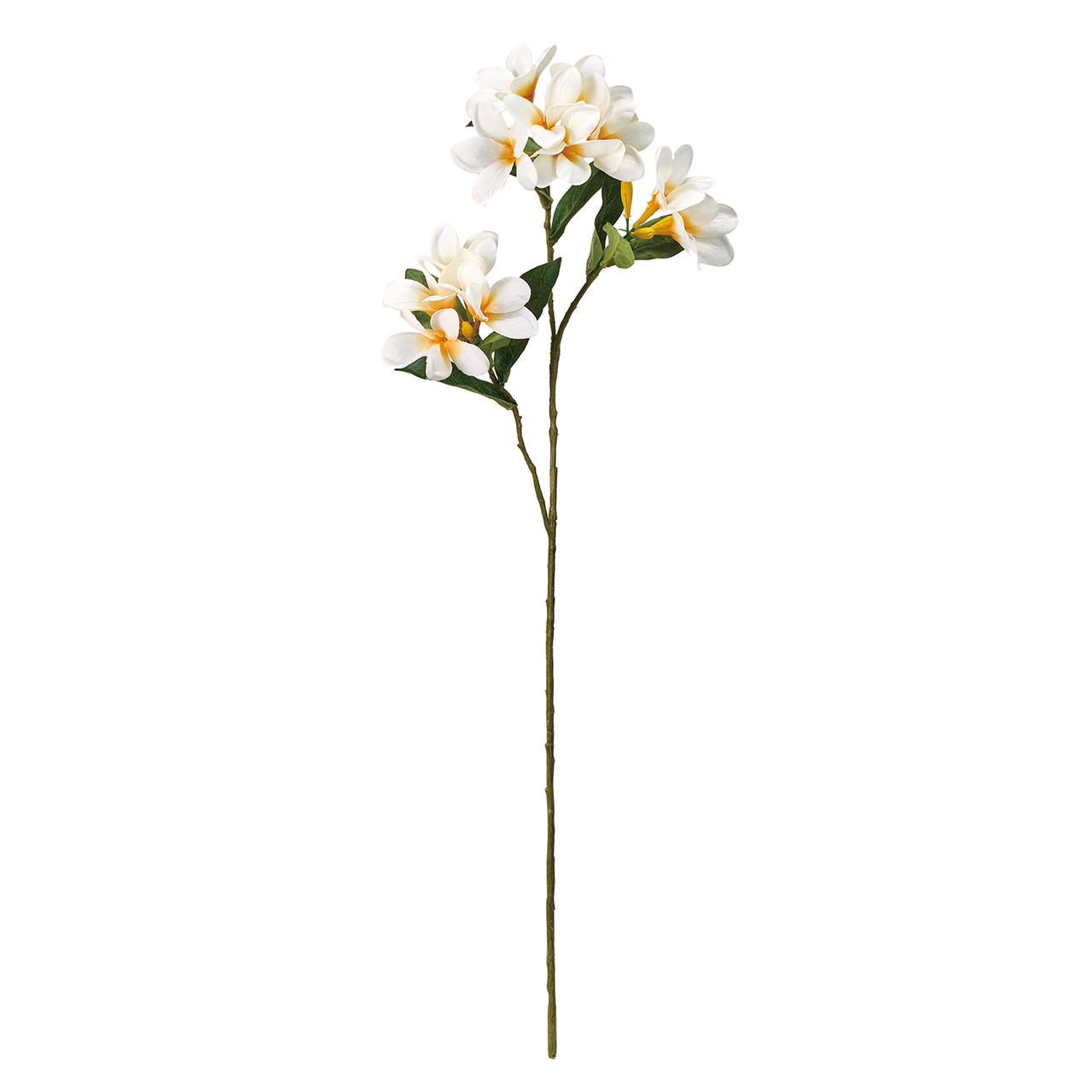 マイフラ】 通販/MAGIQ リアーナプルメリア クリーム／イエロー アーティフィシャルフラワー 造花 プルメリア FM003442-037(クリーム／ イエロー): MAGIQ(アーティフィシャルフラワー 造花)/全国にMAGIQ、花器、花資材などをお届けします。