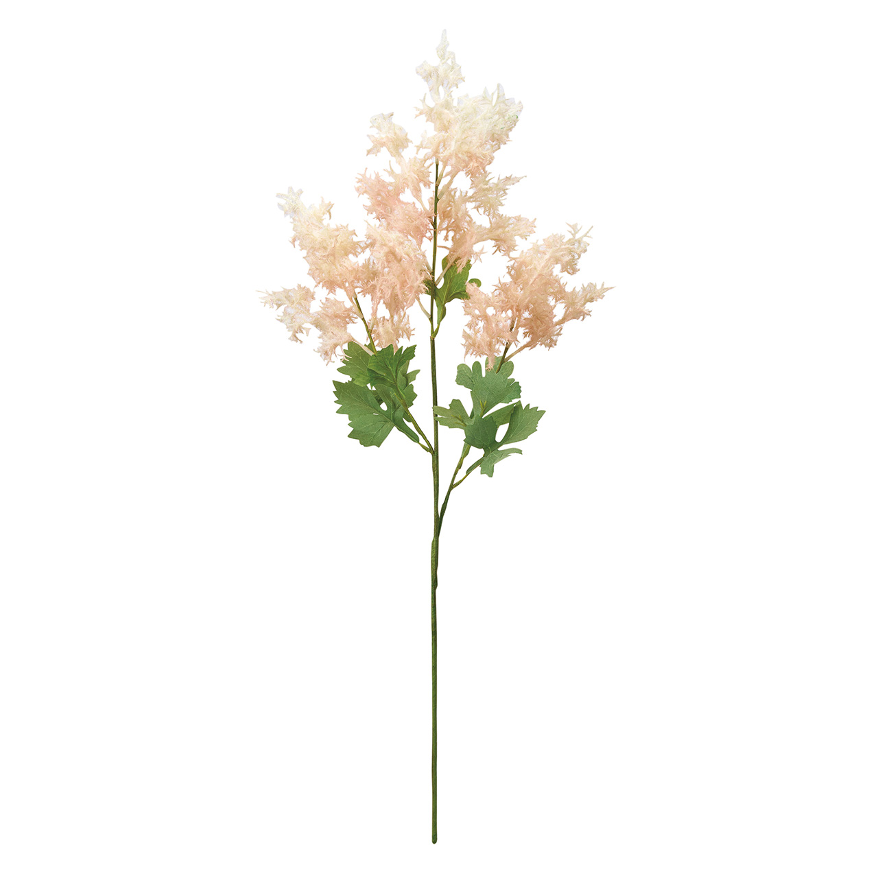 マイフラ】 通販/MAGIQ リアンスモークツリー ライトピンク アーティフィシャルフラワー 造花 すすき パンパス  FM004671(花房丈18～24×長さ 約77cm ライトピンク): MAGIQ(アーティフィシャルフラワー 造花 )/全国にMAGIQ、花器、花資材などをお届けします。