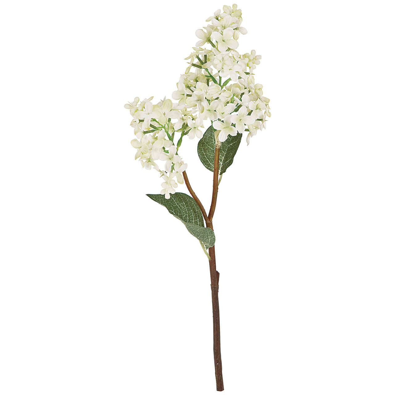 マイフラ】 通販/MAGIQ フレリア ライラック ホワイト アーティフィシャルフラワー 造花 FM003797-001 ライラック(ホワイト):  MAGIQ(アーティフィシャルフラワー 造花)/全国にMAGIQ、花器、花資材などをお届けします。