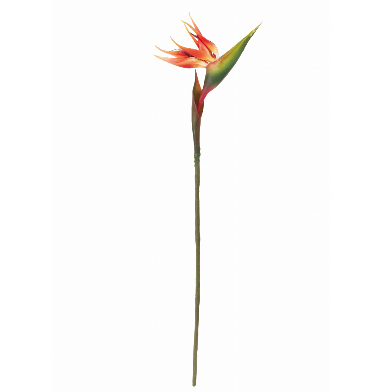 マイフラ 通販 Magiq ジェリーストレチア オレンジ アーティフィシャルフラワー 造花 Fm トロピカルフラワー 花の全長 約18 全長 約80cm オレンジ Magiq アーティフィシャルフラワー 造花 全国にmagiq 花器 花資材などをお届けします