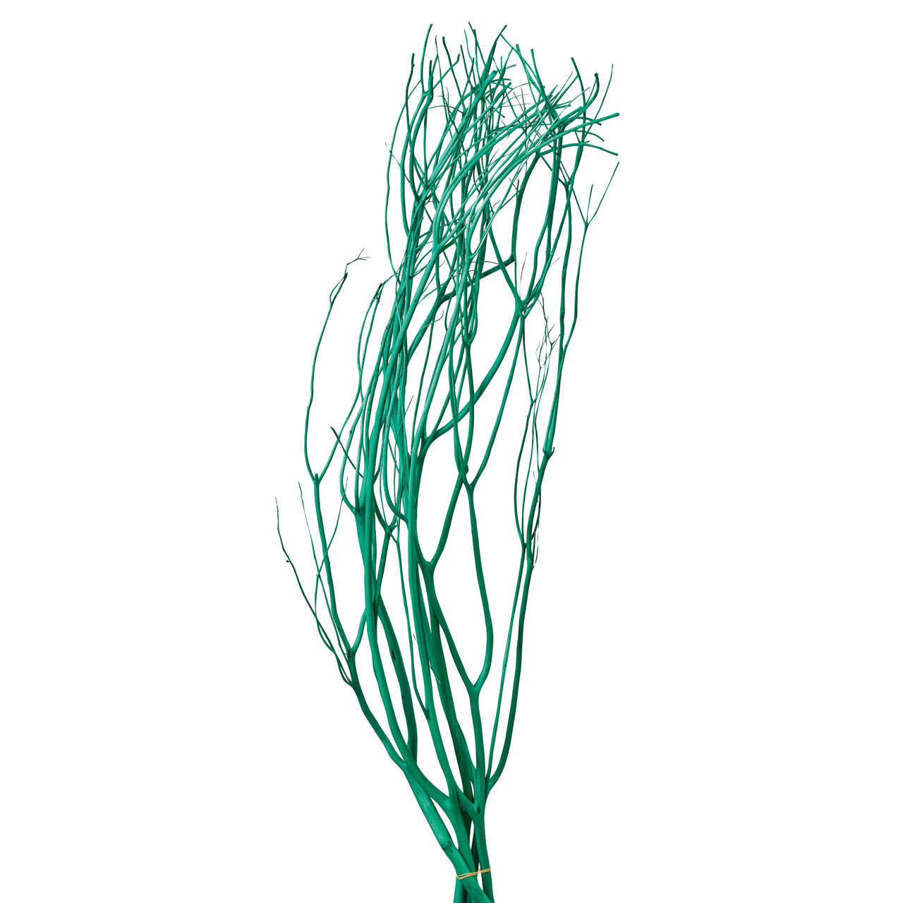 みつまた染　100cm　萌葱（グリーン）　ドライフラワー　枝もの　三又　カラー　FD010100-007