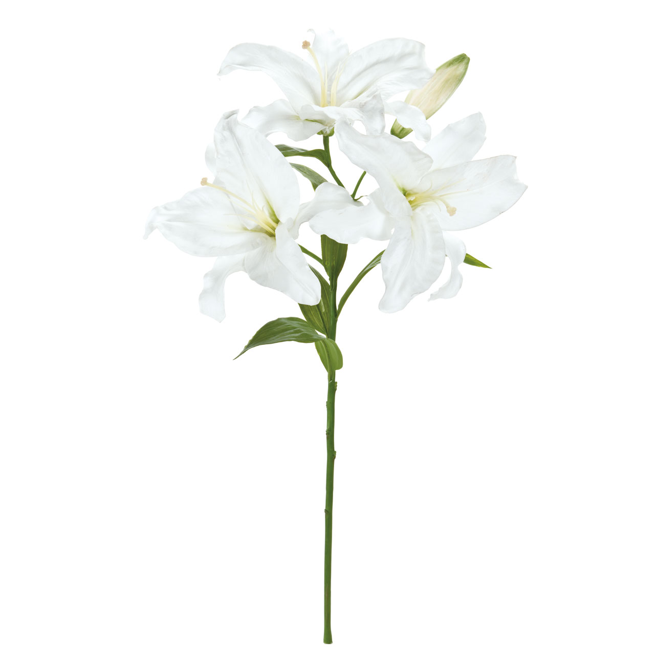 マイフラ 通販 Winward オードリー カサブランカ 3輪咲き ホワイト アーティフィシャルフラワー 造花 Fw ユリ 花径 約24 26 全長 約70cm ホワイト Magiq アーティフィシャルフラワー 造花 全国にmagiq 花器 花資材などをお届けします