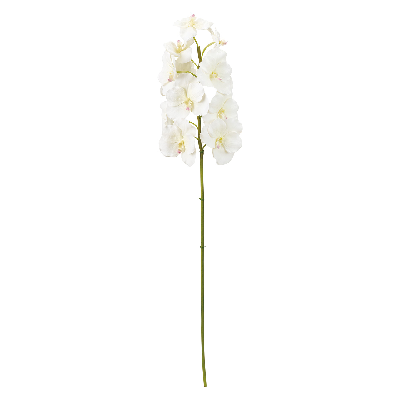 Winward　ジュリアバンダオーキッド　ホワイト　アーティフィシャルフラワー　造花　オーキッド　蘭　FW020470