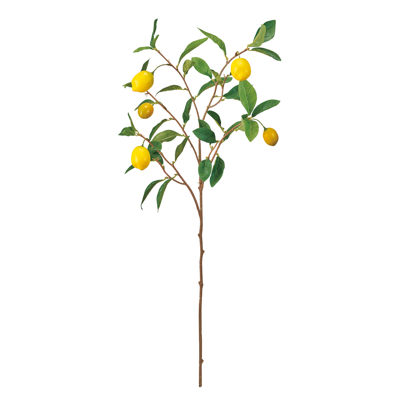 MAGIQ　レモンの枝　グリーン　アーティフィシャルフラワー　造花　実もの　果物　FM002301