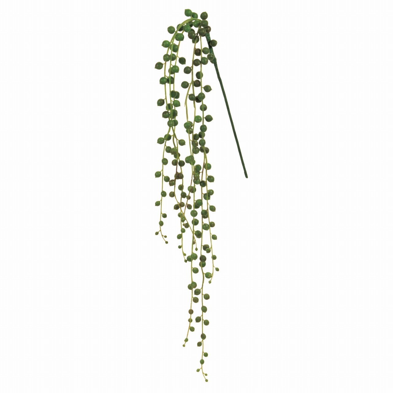 マイフラ 通販 Magiq リュクス グリーンネックレス ライトグリーン アーティフィシャルフラワー 造花 Fg 多肉植物 全長 約78cm 根本から先端まで ライトグリーン Magiq アーティフィシャルフラワー 造花 全国にmagiq 花器 花資材などをお届けします