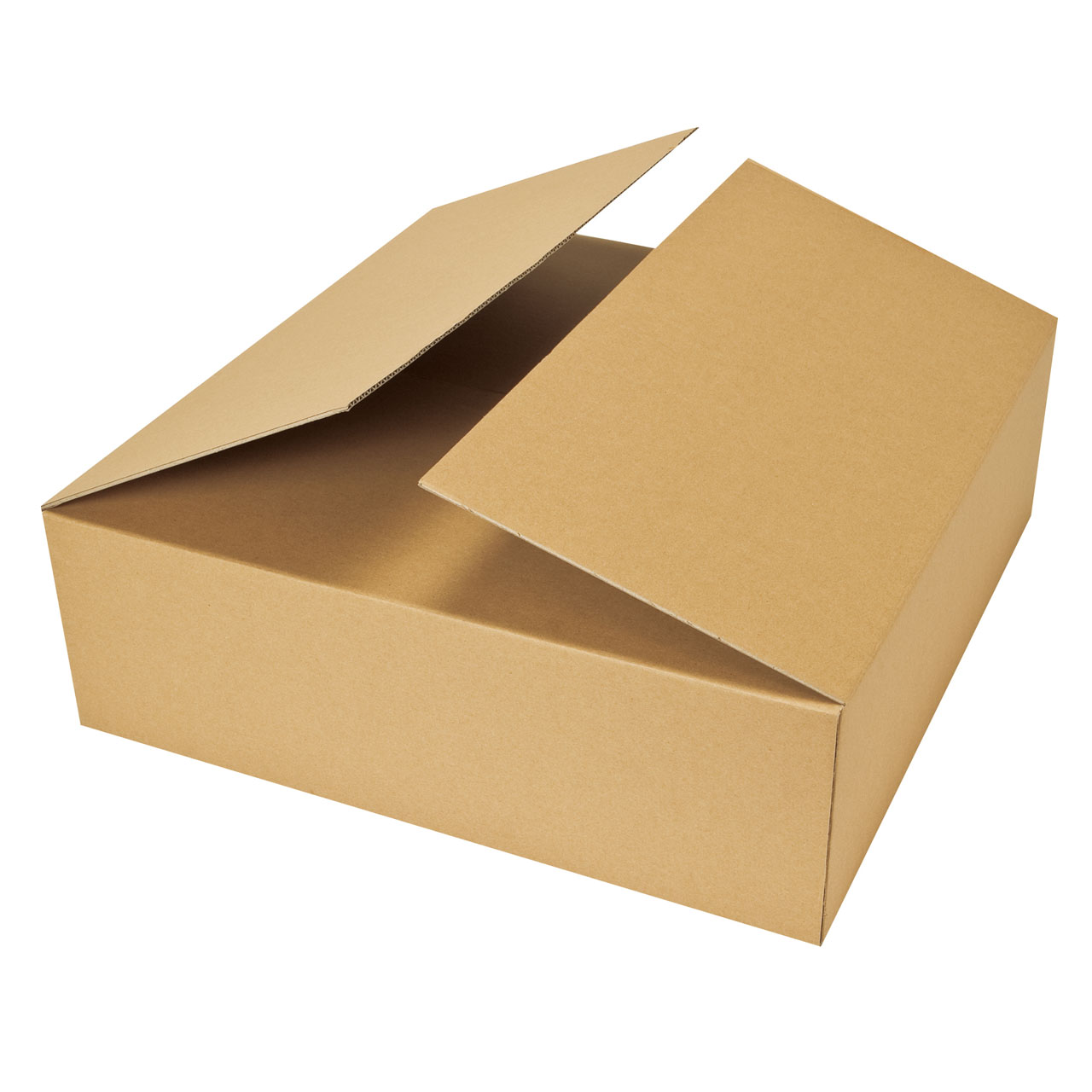 リースBOX 40A式輸送箱　包装資材　パッケージ　GF003780　5枚入
