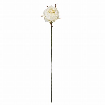 Winward　アミュゼプティローズ　クリームホワイト　アーティフィシャルフラワー　造花　FW090182-001　バラ